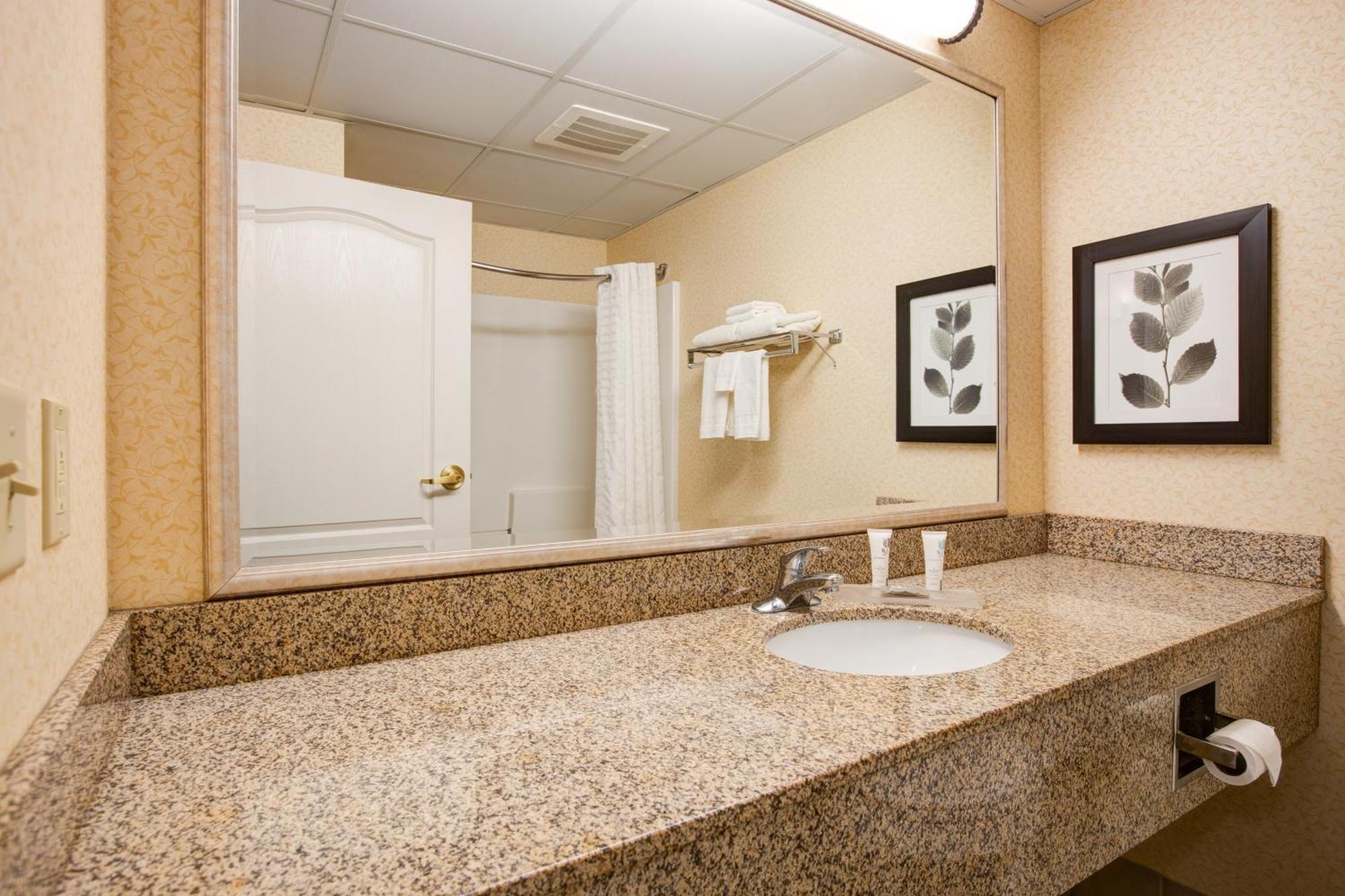 Comfort Inn & Suites St Paul Northeast Vadnais Heights Rom bilde
